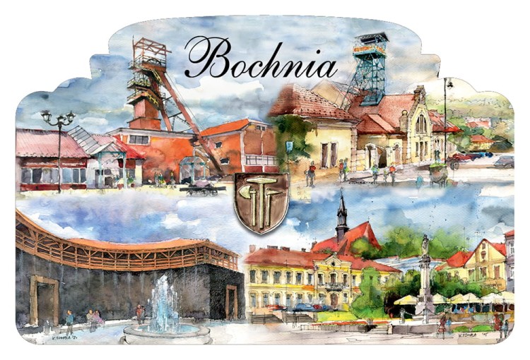 Magnes_BOCHNIA_06_6x9.jpg
