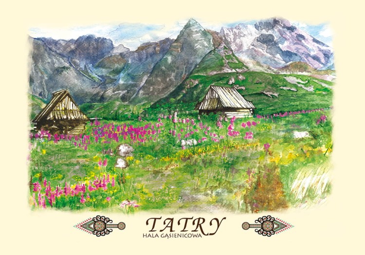 Z-132_Tatry hala gasienicowa.jpg