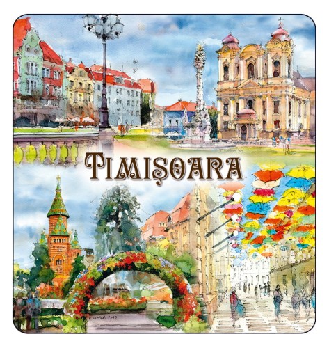 magnes_TIMISOARA_07.jpg