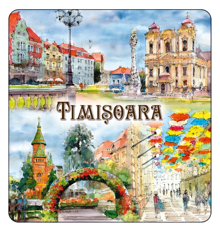 magnes_TIMISOARA_07.jpg