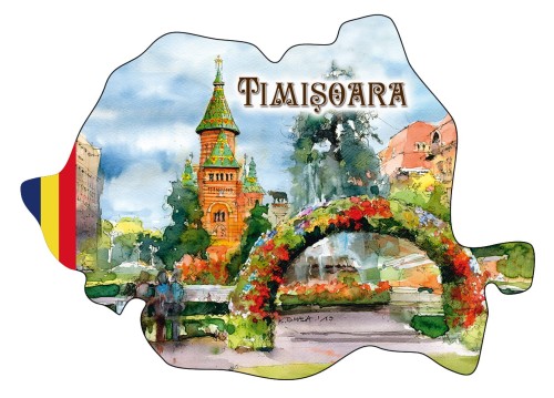 magnes_TIMISOARA_09-mapa.jpg