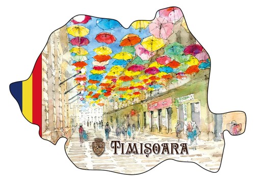 magnes_TIMISOARA_11-mapa.jpg