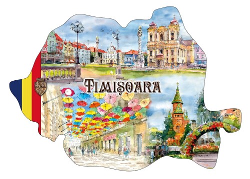 magnes_TIMISOARA_12-mapa.jpg