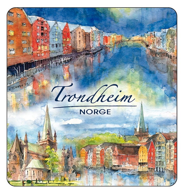 MAGNES_TRONDHEIM_06.jpg