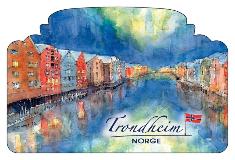 MAGNES_TRONDHEIM_07_6x9_szarfa.jpg