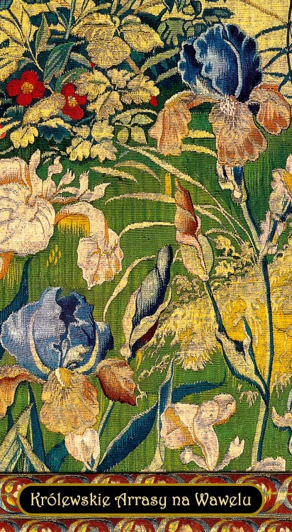 notes11N_czwórka_ARRASY _01_IRYSY.jpg