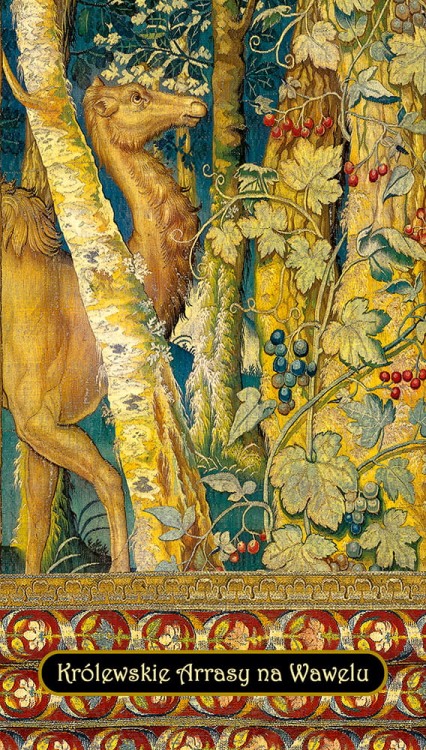 notes11N_czwórka_ARRASY _04_WIELBLAD.jpg