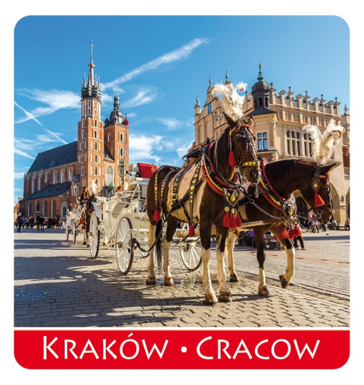 magnes_krakow_34.jpg