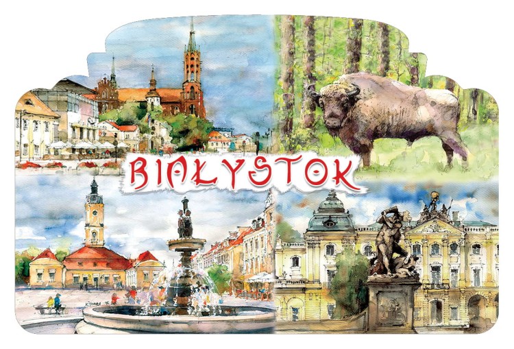 magnes_Białystok_04_6x9.jpg
