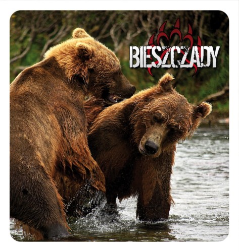 06_BIESZCZADY - mis 01.jpg