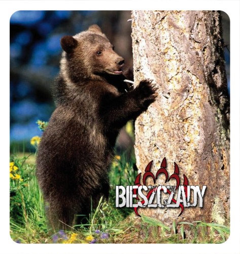 07_BIESZCZADY - mis 02.jpg