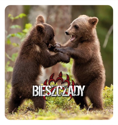 09_BIESZCZADY - mis 04.jpg