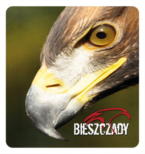 10_BIESZCZADY - ptaki 01.jpg