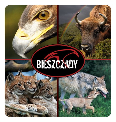 17_BIESZCZADY - skladak 02.jpg