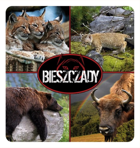 19_BIESZCZADY - skladak 04.jpg