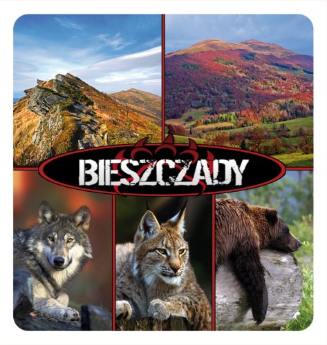 21_BIESZCZADY - skladak 07.jpg