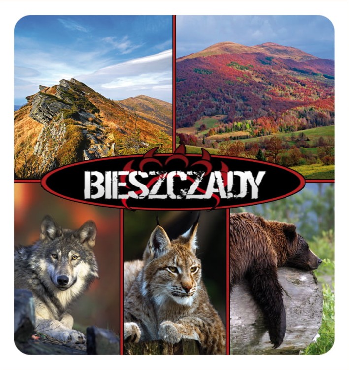 21_BIESZCZADY - skladak 07.jpg