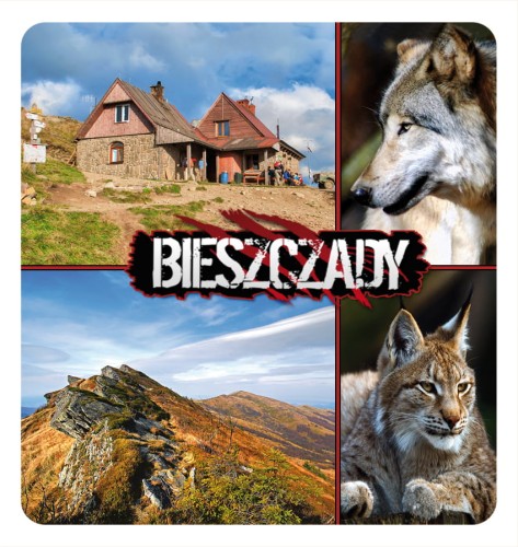 25_BIESZCZADY - skladak 14.jpg