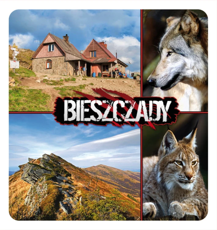 25_BIESZCZADY - skladak 14.jpg