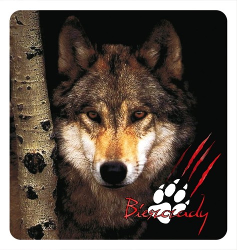 26_BIESZCZADY - wilki 01.jpg