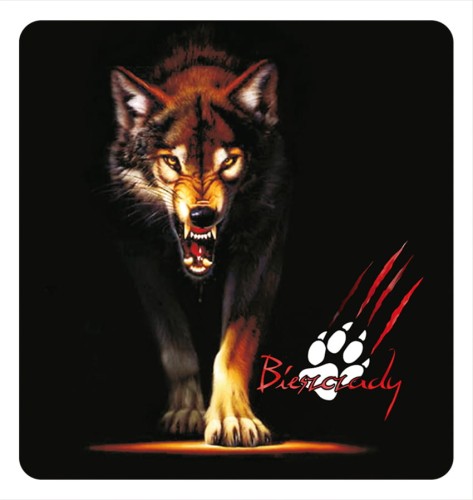 29_BIESZCZADY - wilki 05.jpg