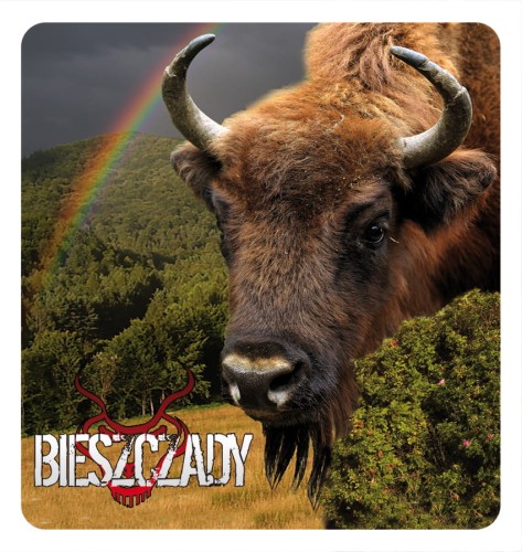 31_BIESZCZADY - zubr 01.jpg