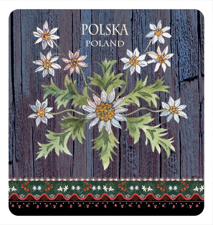 magnes_folk_17.jpg