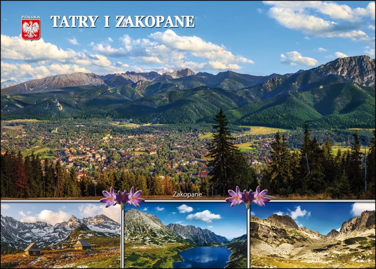 TATRY_C6 _02.jpg