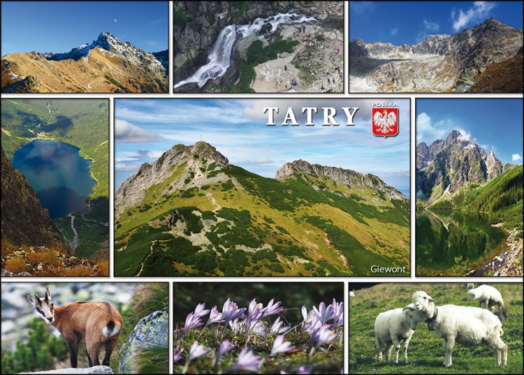 TATRY_C6 _06.jpg