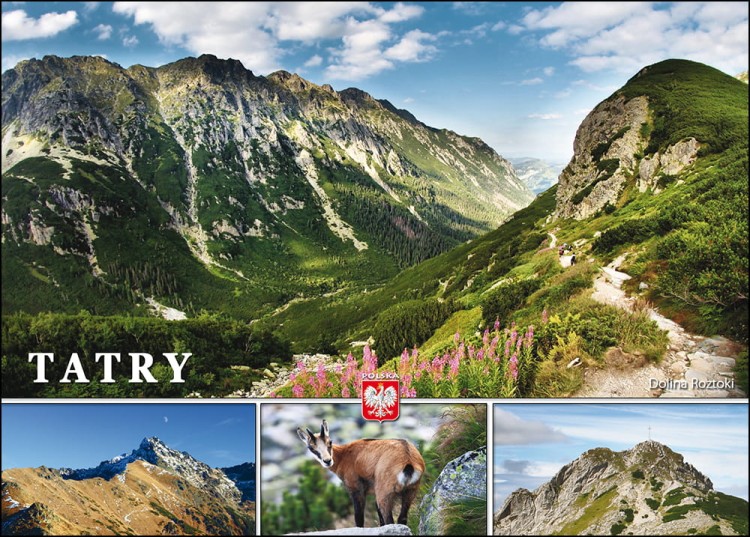 TATRY_C6 _10.jpg