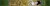 olowek_okragly_akw_KLIMT_02_ADELE_AP2331_w.jpg