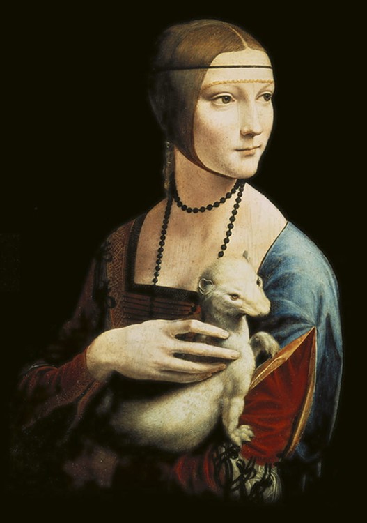 Notes 41ns-Dama-przod_w.JPG