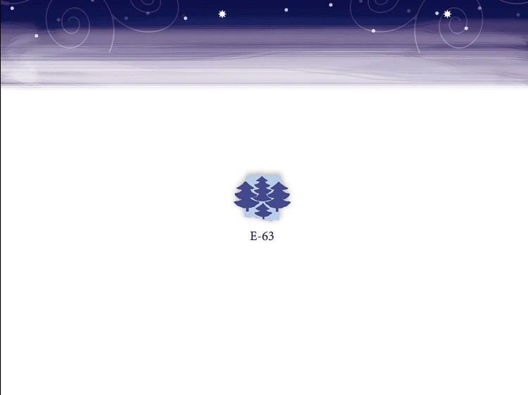 e_63_t.jpg