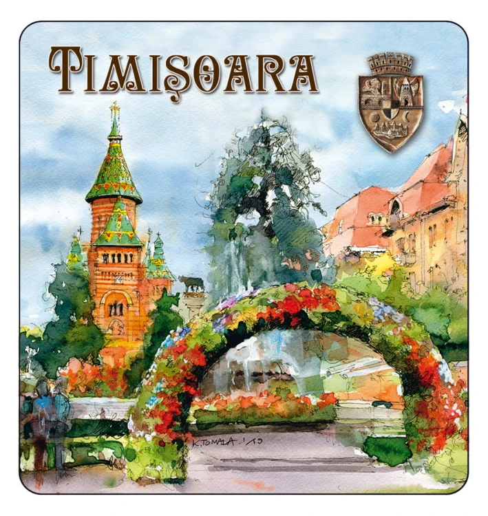 magnes_TIMISOARA_03.jpg