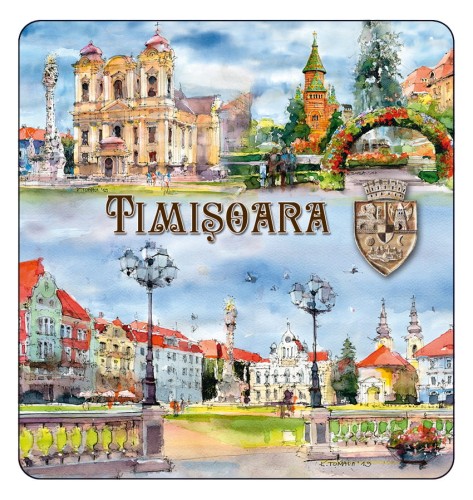 magnes_TIMISOARA_04.jpg