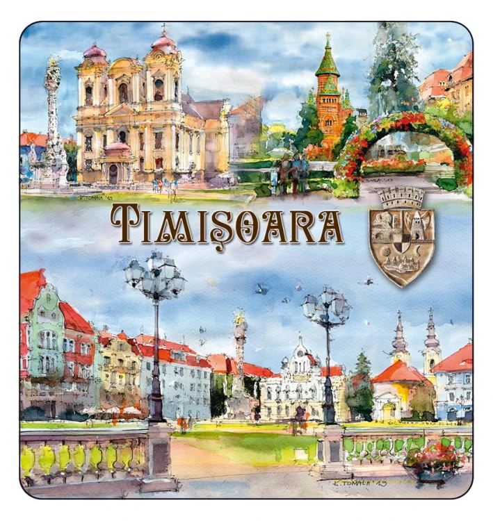 magnes_TIMISOARA_04.jpg