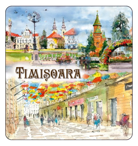 magnes_TIMISOARA_05.jpg