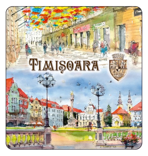 magnes_TIMISOARA_06.jpg
