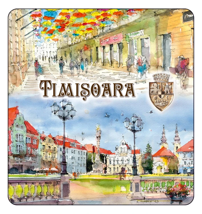 magnes_TIMISOARA_06.jpg