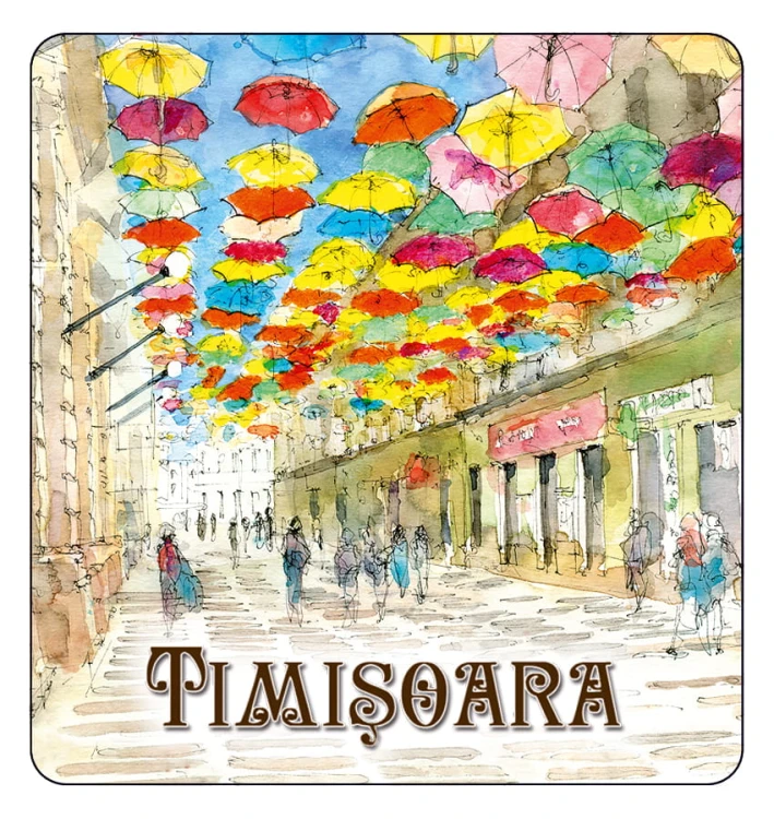 magnes_TIMISOARA_08.jpg