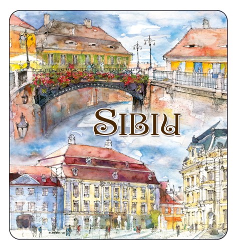 magnes_SIBIU_08.jpg